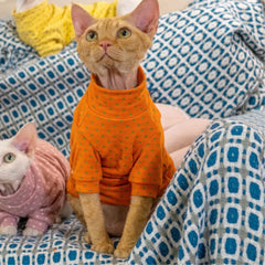 Sphynx Cat Clothes – Candy Color Dual-Sided Shirt