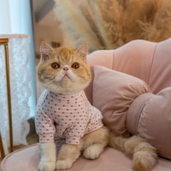 Sphynx Cat Clothes – Candy Color Dual-Sided Shirt