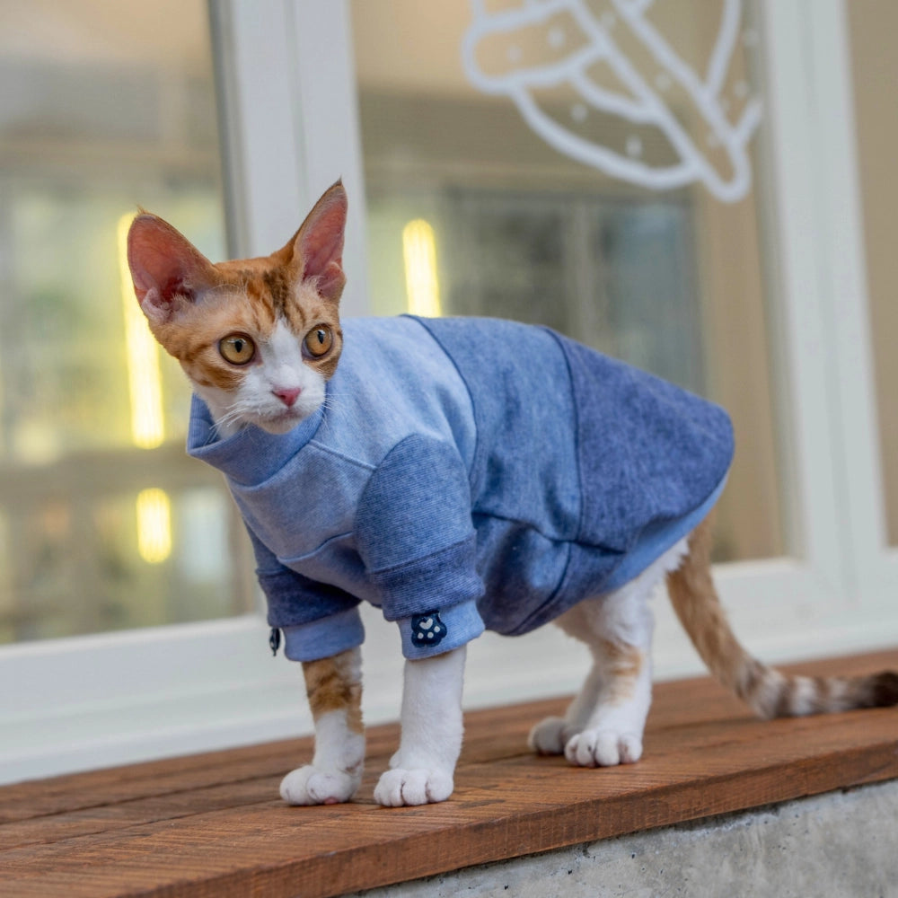 Side profile of a color-block cat hoodie showing the comfortable high-neck design and snug fit for active adventure cats