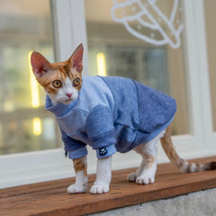 Side profile of a color-block cat hoodie showing the comfortable high-neck design and snug fit for active adventure cats