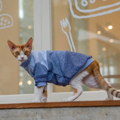 Close-up of blue four-color-block Sphynx cat sweatshirt featuring high-quality knitted fabric and stylish patchwork design - explormeow