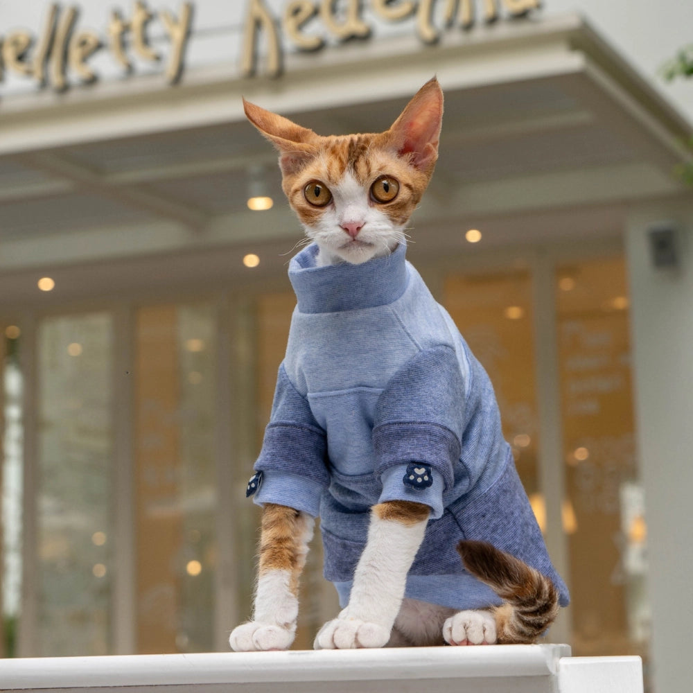 Sphynx cat wearing a blue four-color-block sweatshirt with paw embroidery - explormeow