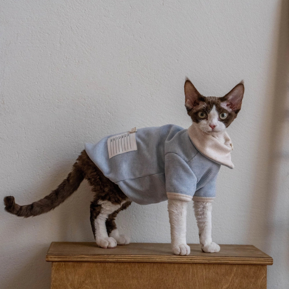 Sphynx Cat T-Shirt – Fold Over Collar | Blue
