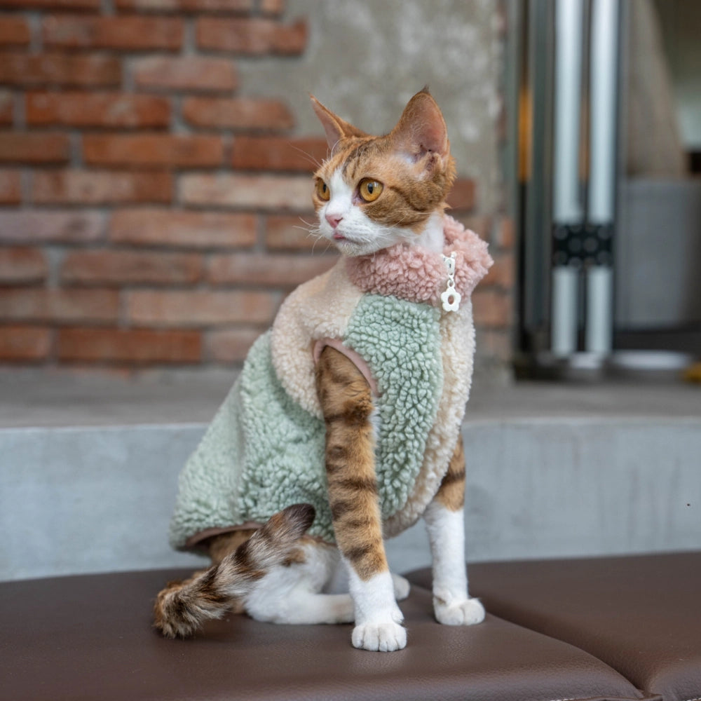 Mint green and cream sherpa fleece cat jacket with a pink collar, perfect for hairless cats staying warm outdoors - explormeow