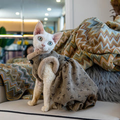 Sphynx Cat Dress – Rex Rabbit Fur