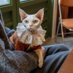 Sudadera con capucha de algodón Sphynx – Amber Royale 