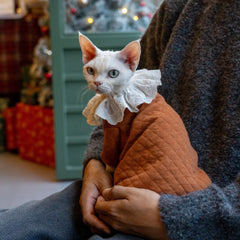 Sudadera con capucha de algodón Sphynx – Amber Royale 