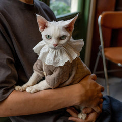 Sudadera con capucha de algodón Sphynx – Té con leche sereno