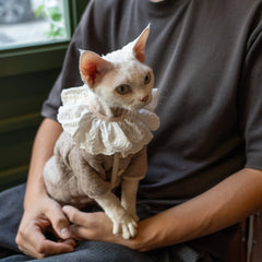 Sudadera con capucha de algodón Sphynx – Té con leche sereno