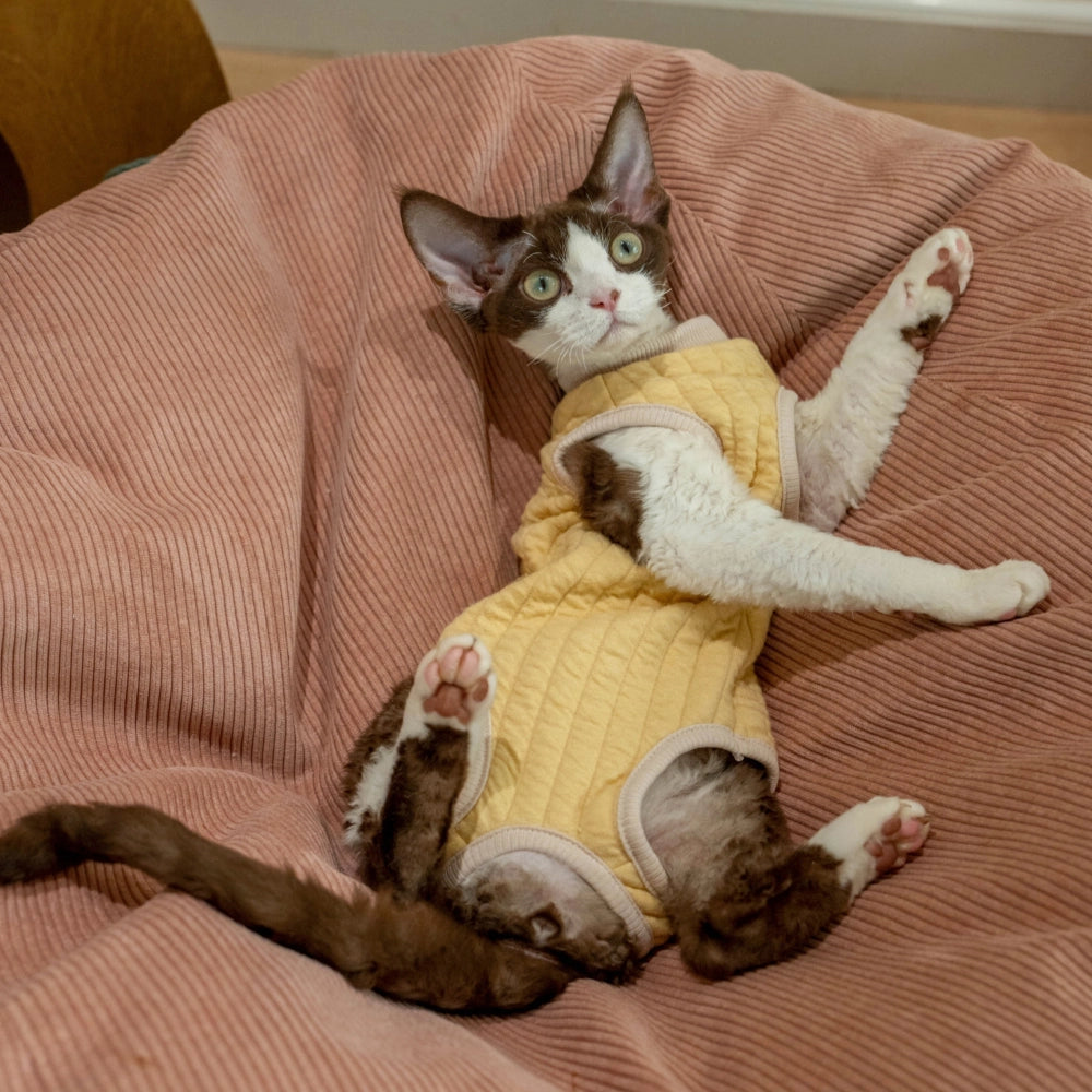 Sphynx Cat Clothes – Padded Onesie | Ginger Yellow