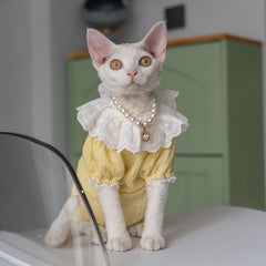 Sphynx Cat Dress – Lace Doll Collar