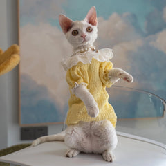 Sphynx Cat Dress – Lace Doll Collar