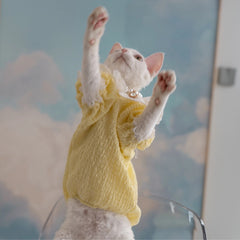 Sphynx Cat Dress – Lace Doll Collar