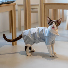 Sphynx Cat Hoodie – Four Leg & Fold Over Collar | Blue
