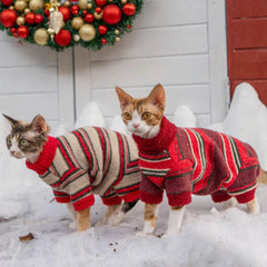Sphynx Cat Jumper – Winter's Embrace  | Khaki Plaid
