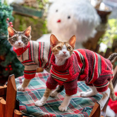 Sphynx Cat Jumper – Winter's Embrace  | Red Plaid