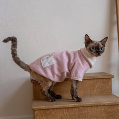 Sphynx Cat T-Shirt – Fold Over Collar | Pink