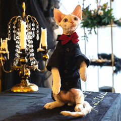 Sphynx Cat Tuxedo Shirt – Bow Tie Collar