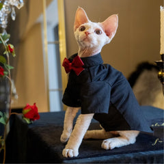 Sphynx Cat Tuxedo Shirt – Bow Tie Collar