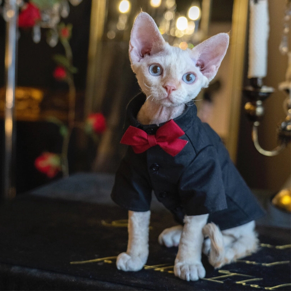 Sphynx Cat Tuxedo Shirt – Bow Tie Collar