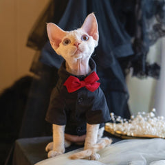 Sphynx Cat Tuxedo Shirt – Bow Tie Collar