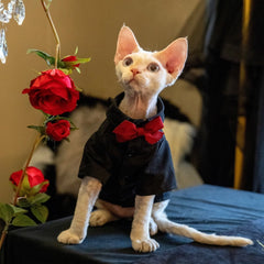 Sphynx Cat Tuxedo Shirt – Bow Tie Collar
