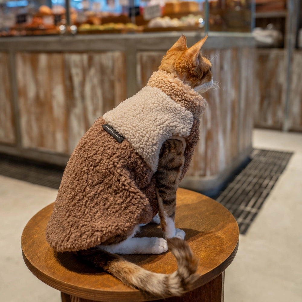 A ginger Devon Rex cat sitting on a chair wearing a snug-fit sleeveless fleece jacket for extra warmth