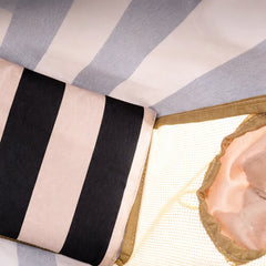 Striped Cat Carrier Tote – Airy Mesh and Peek Out Window