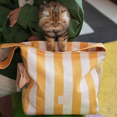 Striped Cat Carrier Tote – Airy Mesh and Peek Out Window