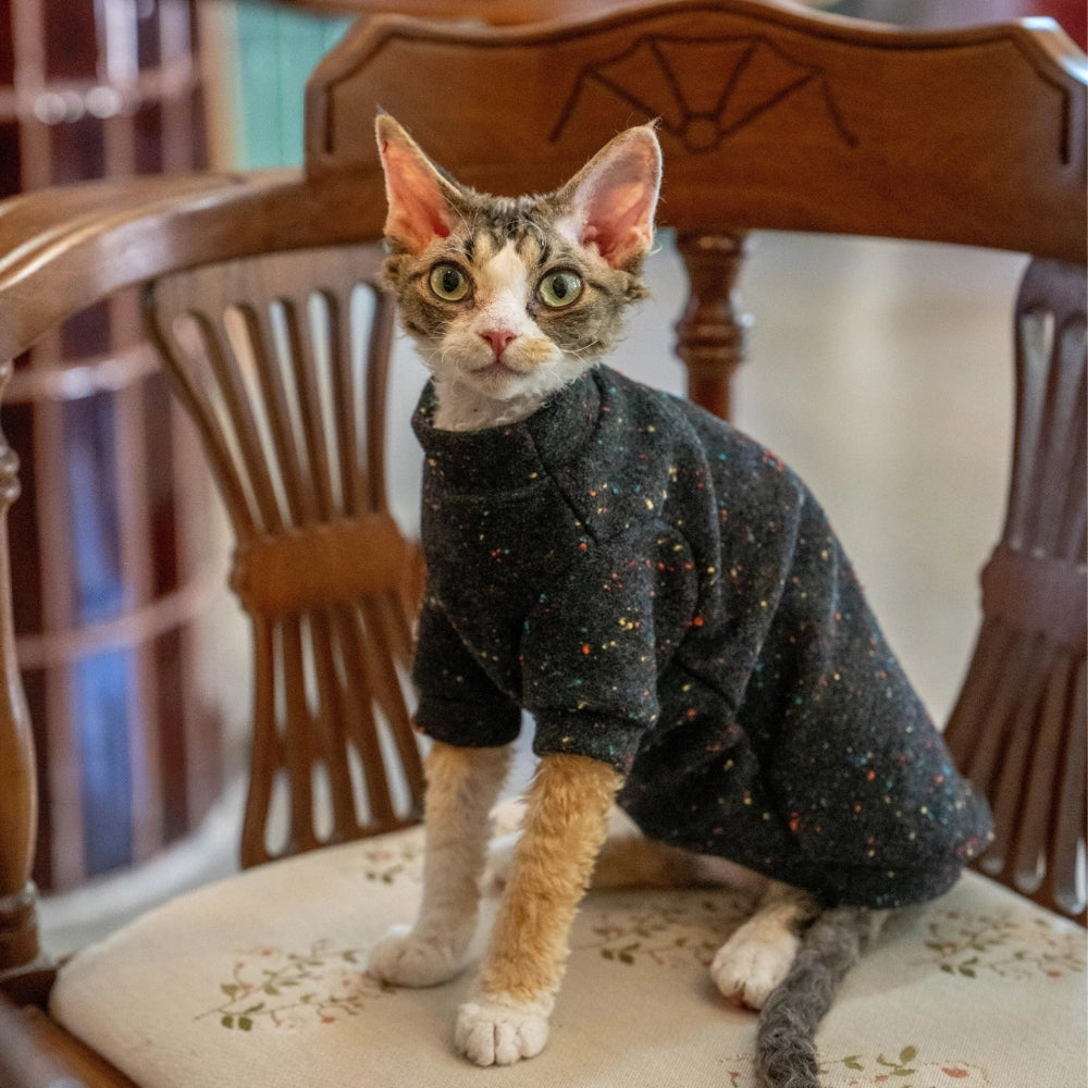 Sphynx Cat Sweatshirt – Soft Wool Blend | Black