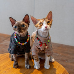 Sphynx Cat Sweatshirt – Soft Wool Blend | Black