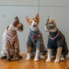 Sphynx Cat Sweatshirt – Soft Wool Blend | Black