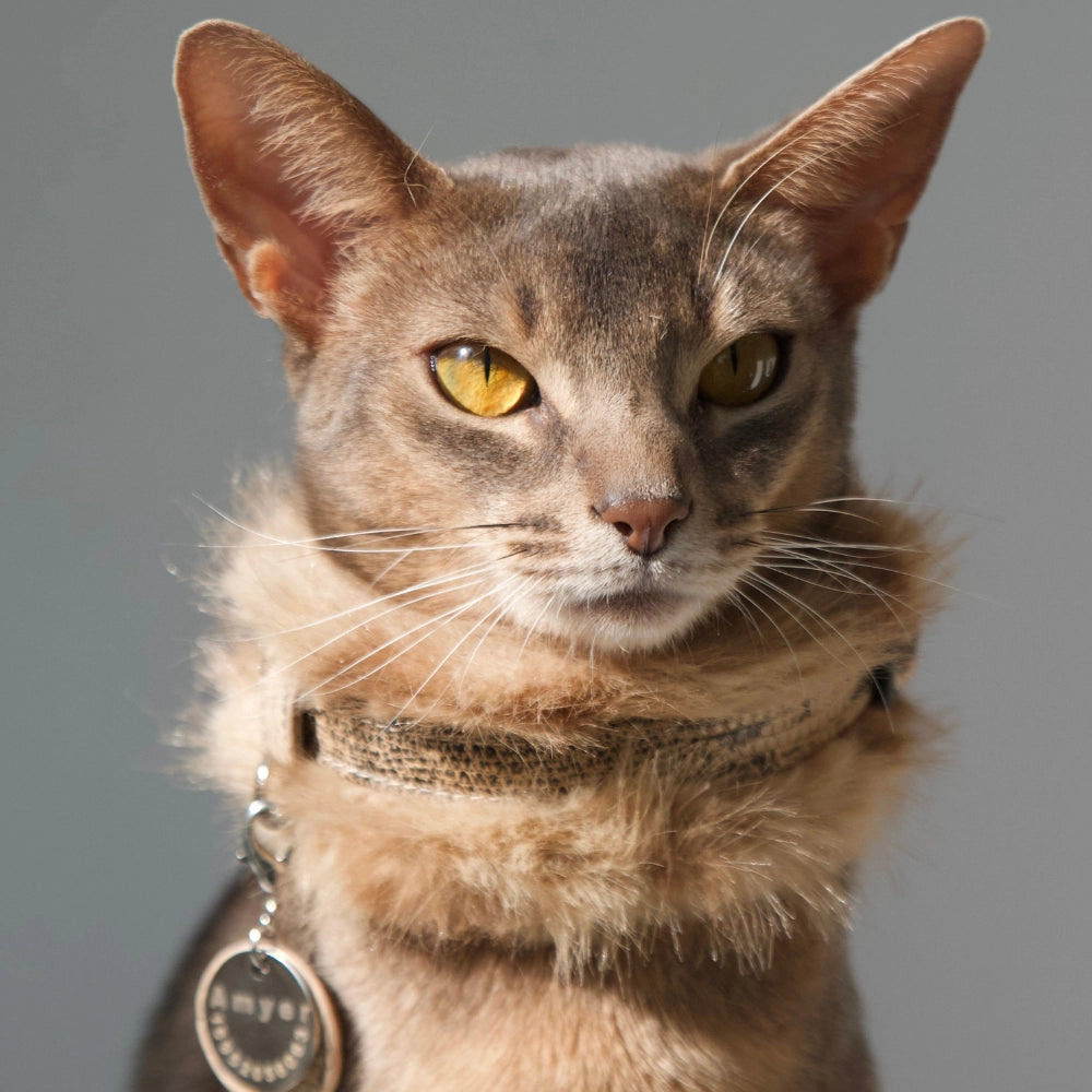 Handmade Cat Collar Set– Leopard Faux Fur | Cream