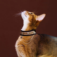 Handmade Cat Collar | Tassel Chains
