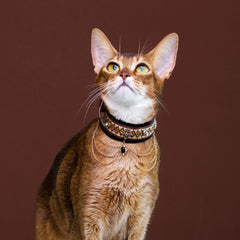 Handmade Cat Collar | Tassel Chains