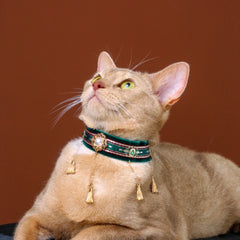 Handmade Cat Collar | Dark Green Velvet with Tassel